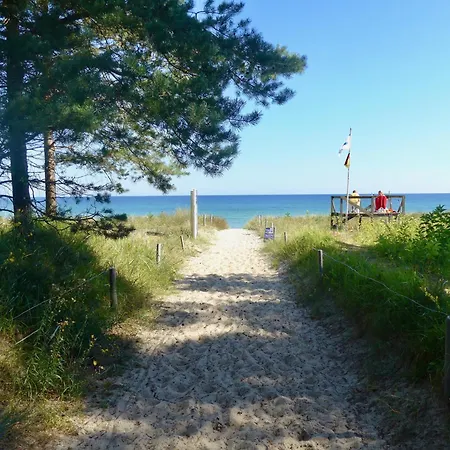 Strandmuschel * 바베